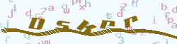 验证码